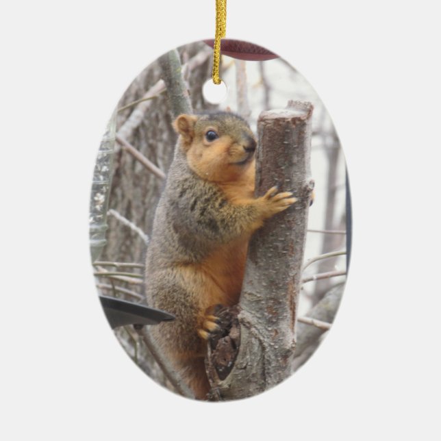 Adorable Squirrel Photo  Christmas Ceramic Ornament (Front)