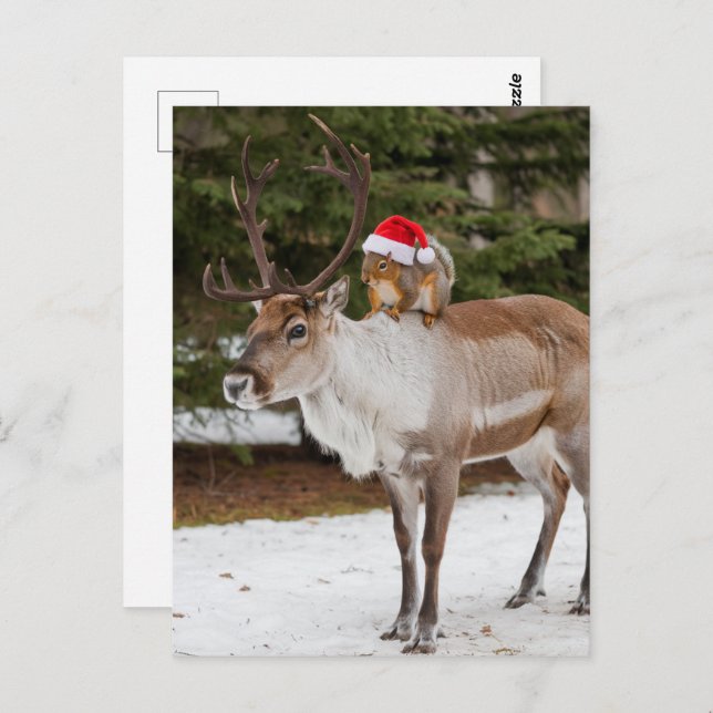 Adorable Squirrel Santa and the Reindeer Christmas Postcard (Front/Back)