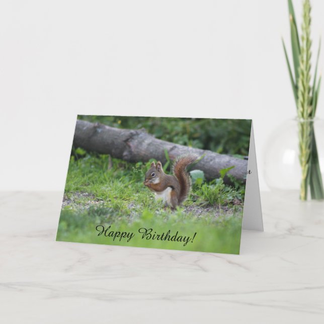 Adorable Squirrel Sitting in the Grass Birthday Card (Front)
