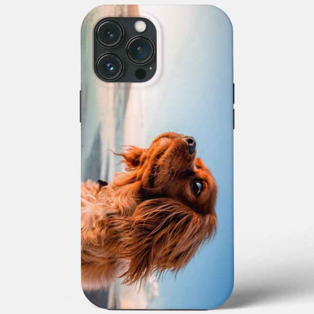 Adorable Staring Dog With Blue Sky Background Case-Mate iPhone Case (Back)