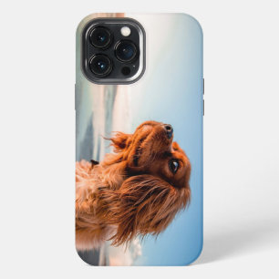 Adorable Staring Dog With Blue Sky Background iPhone 13 Pro Max Case