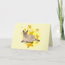 Adorable Tan Burmese Cat in the Stars   