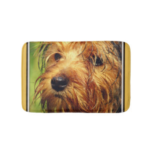 Adorable Terrier Dog with a Wet Face Bath Mat