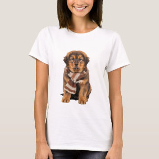 Adorable Tibetan Mastiff Puppy Wearing Knitted T-Shirt