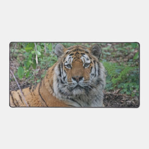 Adorable Tiger Desk Mat