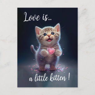 Adorable Tiny Kitten Sweetheart Postcard