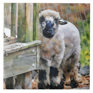 Adorable Valais Cross Lamb  Ceramic Tile