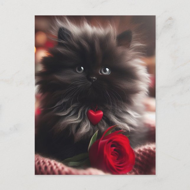 Adorable Valentine Black Kitten Postcard (Front)