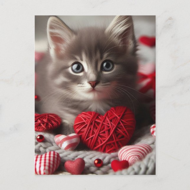 Adorable Valentine Fluffy Grey Kitten with Hearts Postcard (Front)