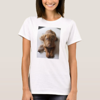 Adorable Vizsla Puppy Dog - Vizsla Puppy Tee Shirt