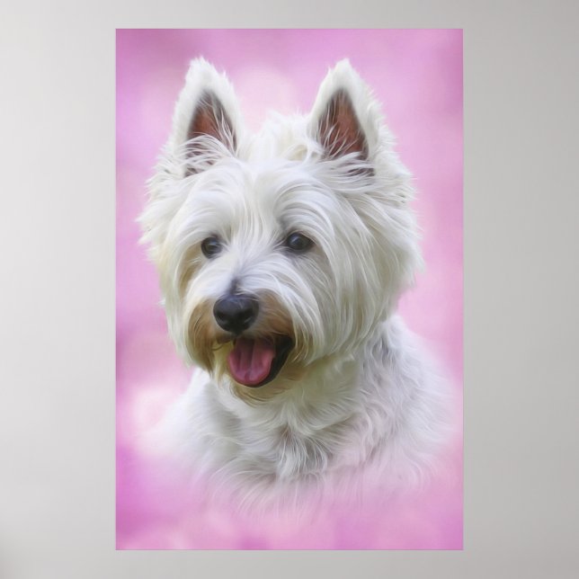 Adorable west highland white terrier poster (Front)