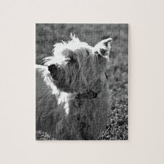 Adorable Westie Terrier Collection Jigsaw Puzzle