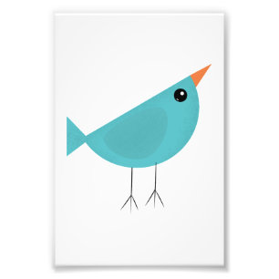 Adorable Whimsical Bird Nature Art Photo Print