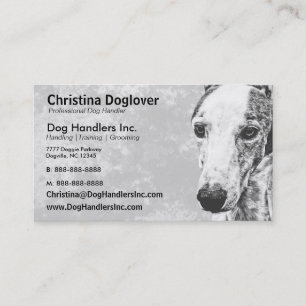 Adorable Whippet Dog Business Card