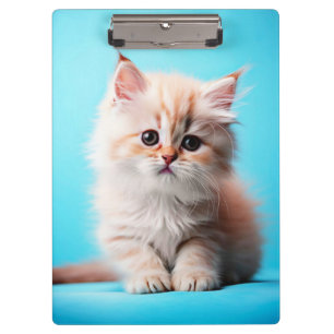 Adorable White Kitten Potrait-54971 Clipboard