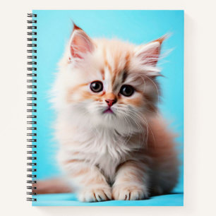 Adorable White Kitten Potrait-54971 Notebook