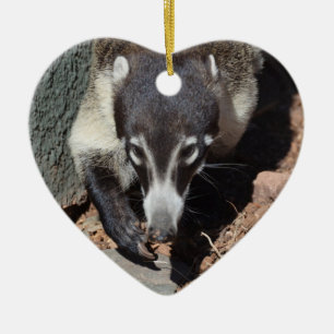Adorable White Nosed Coati Ceramic Ornament