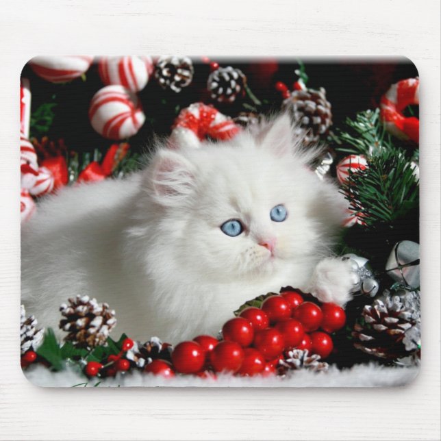 Adorable White Persian in Christmas setting Mouse Pad (Front)