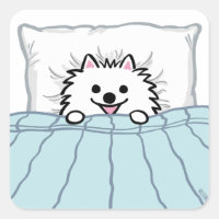 Adorable White Pomeranian Dog Tucked in Bed