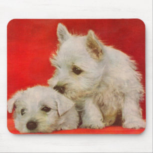 adorable white terrier puppies mouse pad