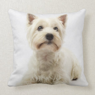 Adorable White West Highland Terrier Cushion