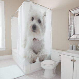 Adorable White West Highland Terrier Shower Curtain