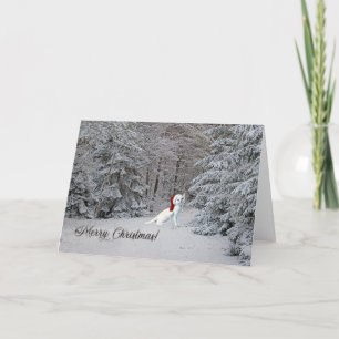 Adorable Winter Cat Christmas Greeting Card! Holiday Card