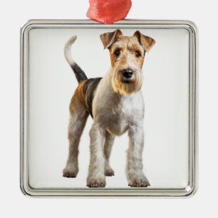 ADORABLE WIRE HAIRED FOX TERRIER DOG METAL ORNAMENT
