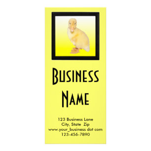 Adorable Yellow Duckling Photograph Rack Card