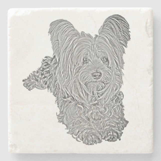 Adorable Yorkshire Terrier B&W Marble Coaster (Front)