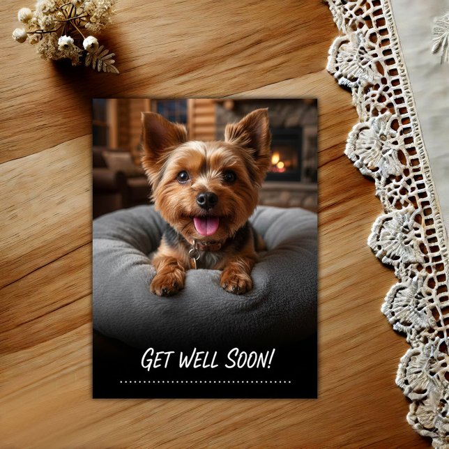 Adorable Yorkshire Terrier Get Well Postcard (Creator Uploaded)