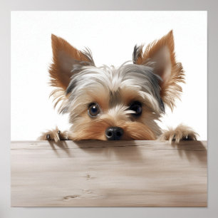 adorable yorkshire terrier photography print