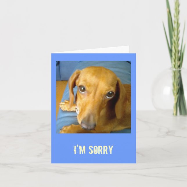 adorableeyes, I'm Sorry Card (Front)