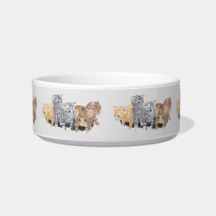 Adorably Cute Kittens Cat Bowl