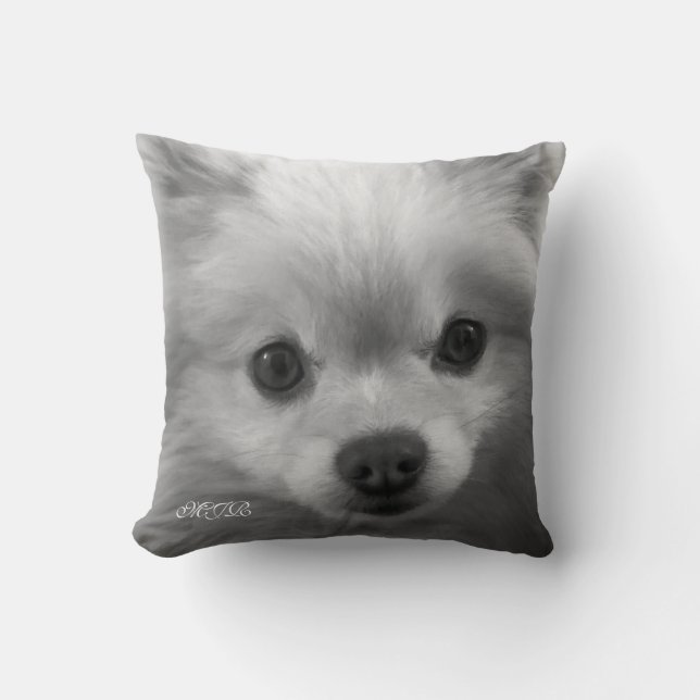 Adorably Cute Pomeranian Puppy Monogram Cushion (Front)