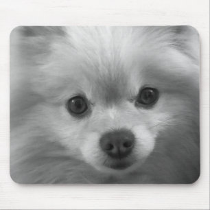 Adorably Cute Pomeranian Puppy Mouse Pad