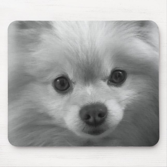 Adorably Cute Pomeranian Puppy Mouse Pad (Front)