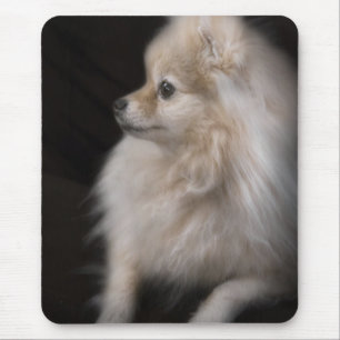 Adorably Cute Posing Pomeranian Puppy Mouse Pad