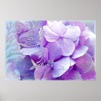 Adoration, Purple Hydrangea Poster