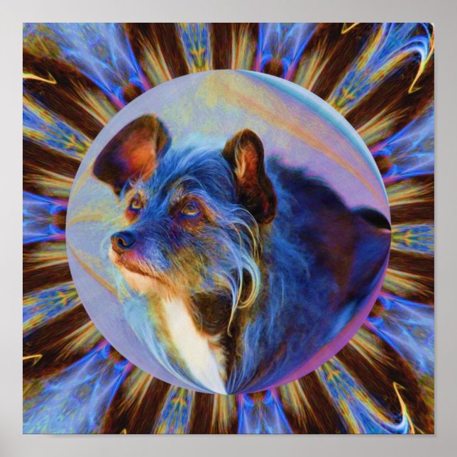 Adoring Dog Eyes Abstract Animal Art Poster (Front)