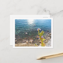 Adriatic Sea with Bellflower in summer Montenegro