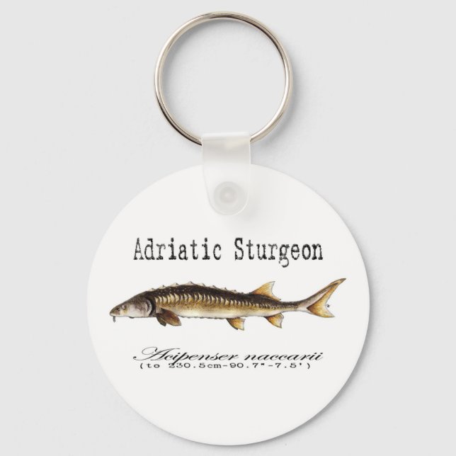 Adriatic Sturgeon Item Key Ring (Front)