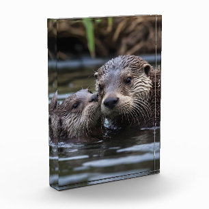 **"Adrift in Love: Mummy and Baby Otter"** Photo Block