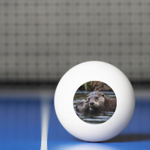 **"Adrift in Love: Mummy and Baby Otter"** Ping Pong Ball