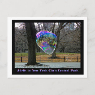 Adrift in New York City's Central Park Postcard