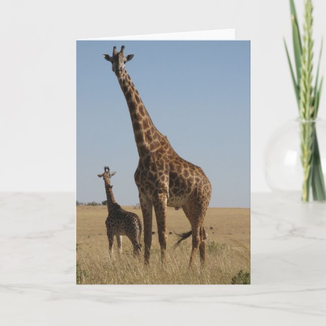 Adult & Baby giraffe Card (Front)