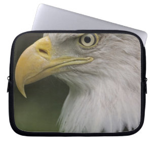 Adult Bald Eagle Portrait, Haliaeetus Laptop Sleeve