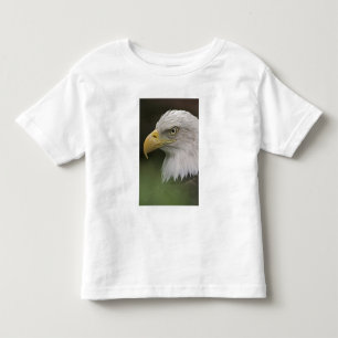 Adult Bald Eagle Portrait, Haliaeetus Toddler T-Shirt
