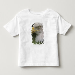 Adult Bald Eagle Portrait, Haliaeetus Toddler T-Shirt