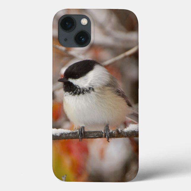 Adult Black-capped Chickadee in Snow Case-Mate iPhone Case (Back)